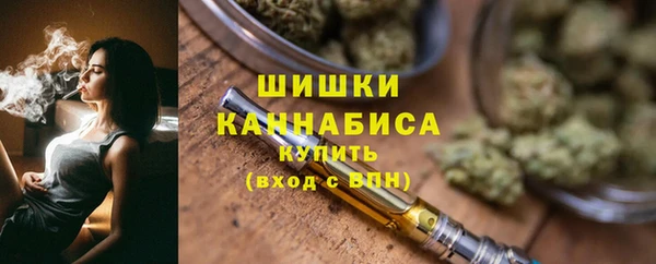 гидра Калач