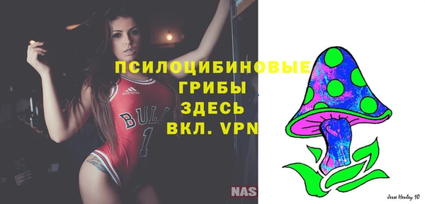 спиды Тында