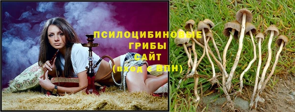 прущая мука Тобольск