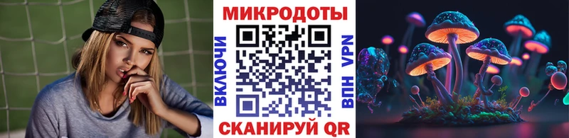 Купить где  Великий Устюг  Галлюциногенные грибы Psilocybine cubensis 