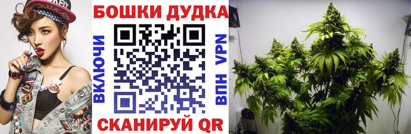 Купить закладки  Великий Устюг  Канабис планчик 